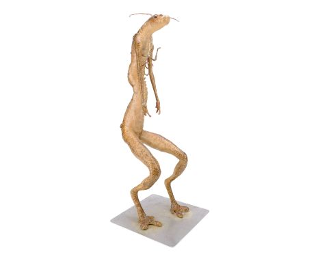 MEN IN BLACK 3 (2012) - Static Worm Guy Puppet - A static worm guy puppet from Barry Sonnenfeld's sci-fi comedy sequel Men in