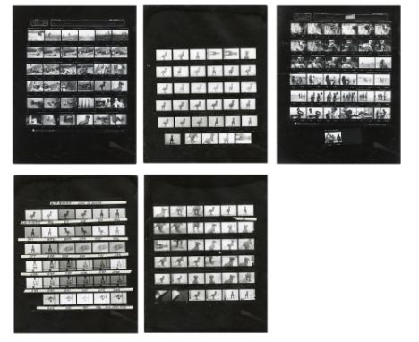 STAR WARS: THE EMPIRE STRIKES BACK (1980) - Set of Five Tauntaun Contact Sheets - A set of five tauntaun contact sheets from 