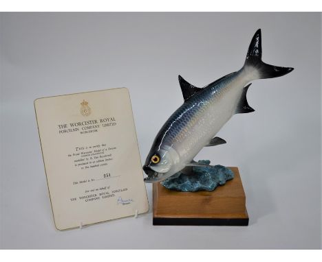 A Royal Worcester limited edition of a Tarpon fish (Tarpon Atlanticus), modelled by R. Van Ruychevett, 251/500, c.1960s, c/w 