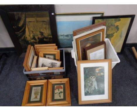 A large quantity of 20th century and later framed prints to include a Trevor D Boult signed limited edition print, Tawny Owl,