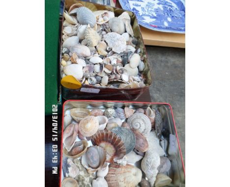 Magpie lot incl. 2 tins of seashells, sel. of photograph mounts, early 20th century mantel clock etc. (3)