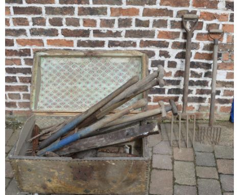 Various tools & old trunk