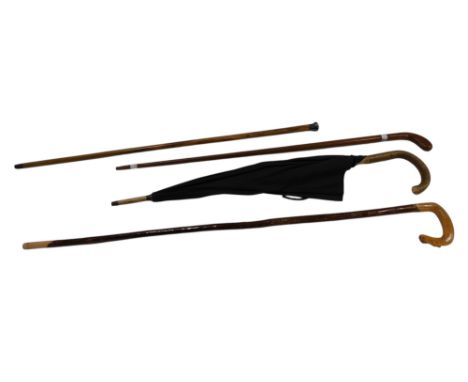 A Golf Sunday walking stick, silver mounted Malacca cane, a walking stick with horn handle, and an umbrella. (4)