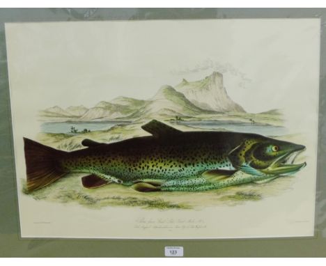 After William Jardine, Ltd Edition coloured lithograph, 61 x 44cm 