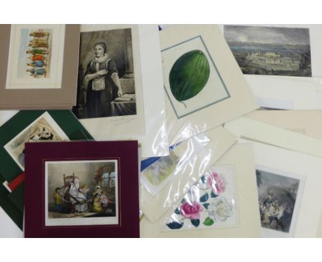 Quantity of coloured engraved prints to include Wm Daniel, Turner and Cassells etc., (a lot)