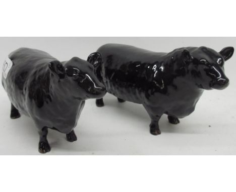 Beswick Aberdeen Angus bull, model 1562, and an Aberdeen Angus cow model 1563 (2) 