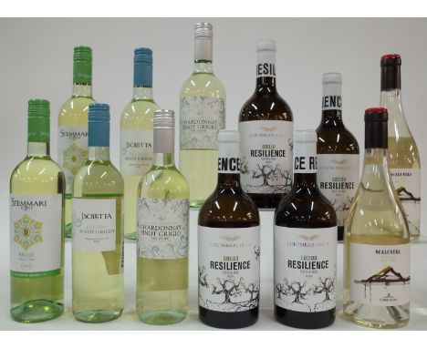 12 BOTTLES ITALIAN WHITE WINEStemmari 2 x Grillo 2021; Cantina Settesoli 2 x Isoletta Lucido Pinot Grigio 2021; Asda 2 x Fill