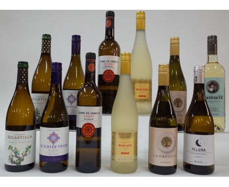 12 BOTTLES SPANISH WHITE WINEVinas del Vero 2 x La Mirada Secastilla Garnacha Blanca 2020; Asda 2 x Extra Special Palacio de 