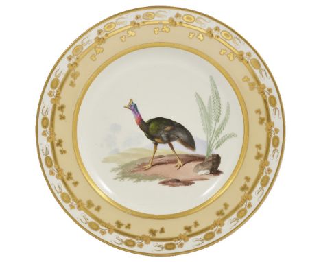 A VIENNA ORNITHOLOGICAL PLATE OF AN AUSTRALIAN OSTRICH (OR SOUTHERN CASSOWARY), 1813 painted by Josef Geyer with the bird in 