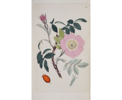 Botany.- Palmstruch (J. W.) Svensk Botanik, vol.1-10 only (of 11), 720 hand-coloured engraved plates, some folding, occasiona