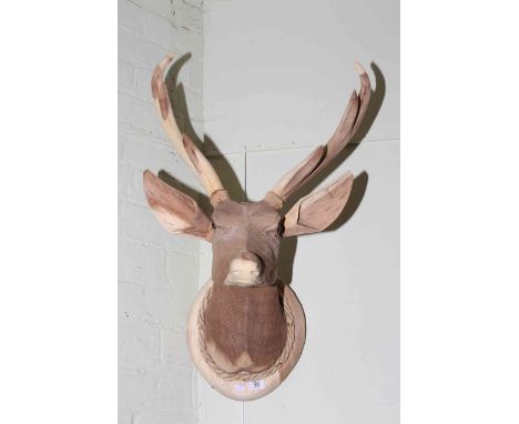 Carved wood model of stags head