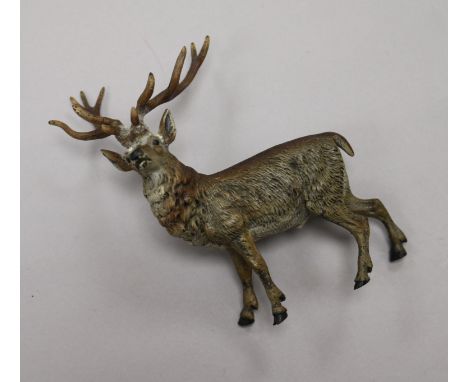 A cold painted bronze of a stag