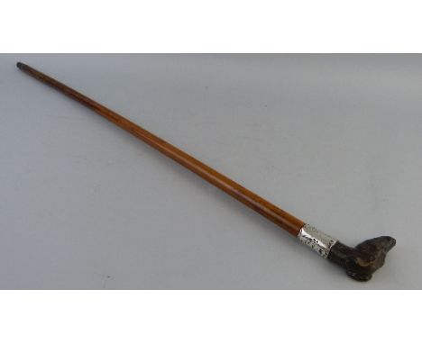 A malacca cane walking stick, with carved dog's head handle and silver ferrule, hallmarked London 1887, 88.5cm long