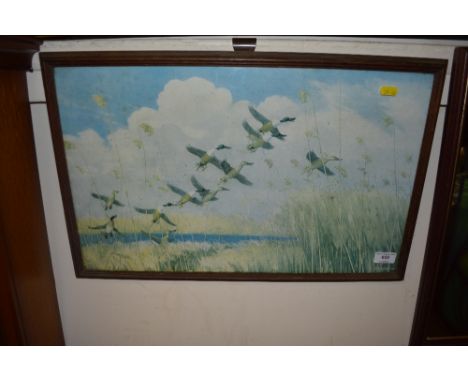 A framed print after Peter Scott depicting ducks in flight 