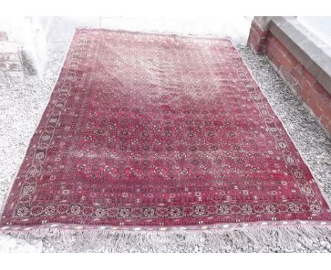 A red ground Afghan carpet with all over tile decoration within multiple borders - 283 x 200cm