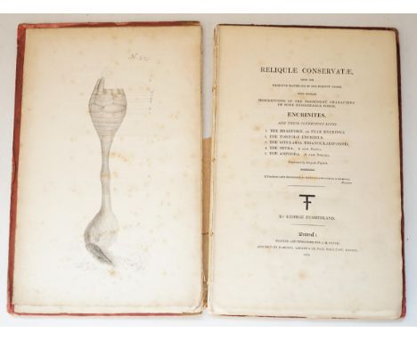 ° ° Cumberland, George - Reliquiae Conservatae, from the Primitive Materials of our Present Globe, with Popular Descriptions 
