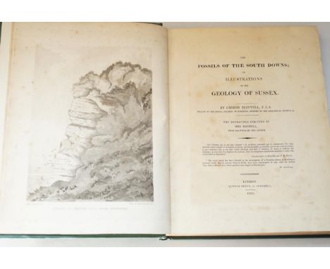 ° ° Mantell, Gideon - The Fossils of the South Downs; or, Illustrations of the Geology of Sussex, first edition, 4to, rebound