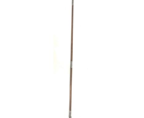 Silver mounted walking stick 
