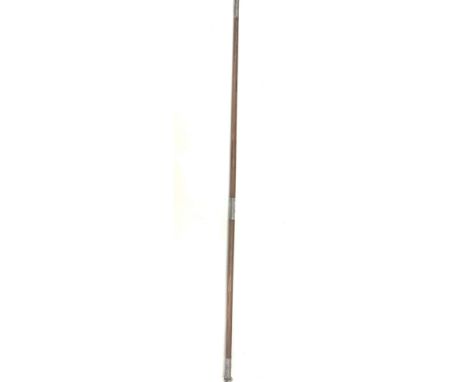 Silver mounted walking stick 