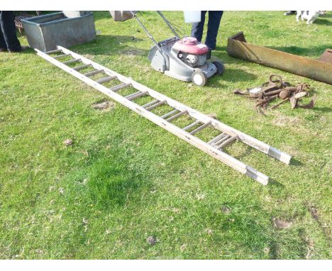 Twelve rung aluminium extending ladder.
