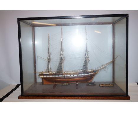 Model of USS constitution in a glazed case height 50 cm
