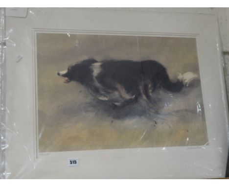     William Selwyn, A Limited Edition Coloured Print Of A Sheepdog, Titled "Cymro" Signed &amp; No In Pencil                 