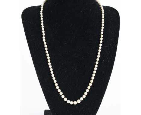 A single row of 101x 3.32 to 5.85mm graduated saltwater cultured pearls, strung knotted to a white metal pearl and diamond ci