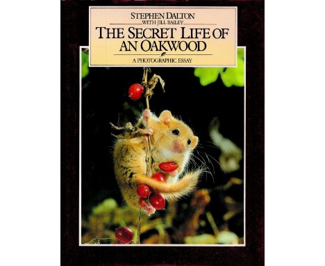 The Secret Life of an Oakwood by Stephen Dalton with Jill Bailey Hardback Book 1986 First Edition published by Century Hutchi