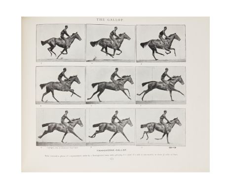 Muybridge, Eadweard Animals in Motion London: Chapman &amp; Hall, 1899. Oblong 4to, frontispiece portrait, plates, original r