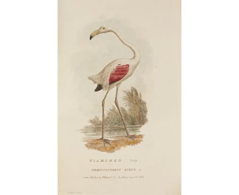 Cuvier, Georges The Animal Kingdom The Animal Kingdom. London: George B. Whittaker, 1827-1835. 16 volumes, 8vo, 800 plates, m
