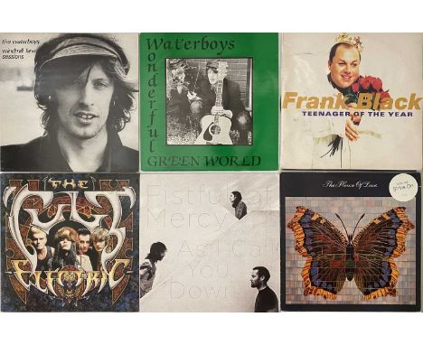 INDIE/ALT/NEW WAVE - LPs. Well-curated collection of 13 x LPs including rarities. Artists/titles are Frank Black - Teenager O