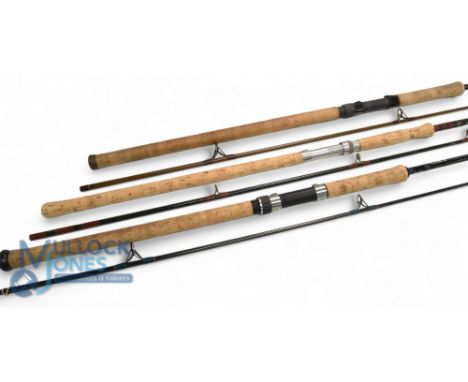 Bruce &amp; Walker Multi Spin carbon spinning rod - 10ft 2pc, 8-20g, 28" handle, alloy down locking reel seat, lined rings th