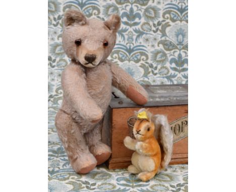 Steiff (Germany) golden mohair jointed teddy bear, amber and black glass eyes, pronounced snout with vertically brown stitche