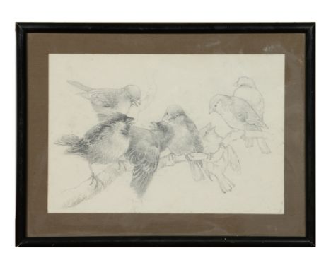 Charles Henry Clifford Baldwyn (Royal Worcester), a framed pencil sketch, seven house sparrows perched upon a branch. Unsigne