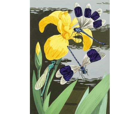ORIGINAL ARTWORKYUNGE-BATEMAN (JOHN) Three large illustrations of insects (Ruby Tail Wasp; Icheumon wasp; ?purple winged dams