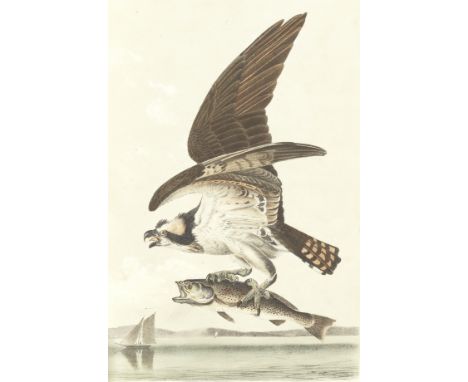 AUDUBON (JOHN JAMES)The Birds of America, from Drawings Made in the United States and their Territories, 7 vol.,  fourth octa