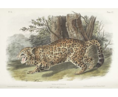 AUDUBON (JOHN JAMES) AND JOHN BACHMANThe Quadrupeds of North America, 3 vol., FIRST OCTAVO EDITION,  half-title in volume 1 a