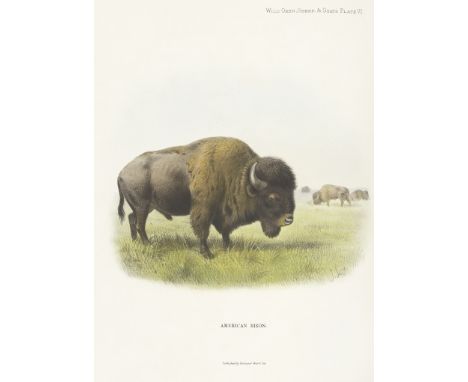 LYDEKKER (RICHARD)Wild Oxen, Sheep and Goats of All Lands Living and Extinct, FIRST EDITION, NUMBER 237 OF 500 COPIES,  signe