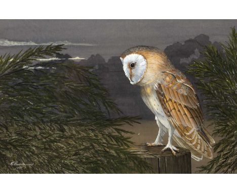 K * Brandwood (20th century)
Barn Owl at dusk, signed and dated 1992, gouache, 22 x 34cm