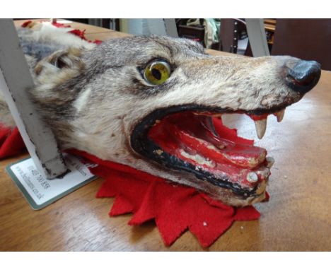 Taxidermy; a skull mounted wolf skin, mid 20th century, red felt and linen backed, 164cm.