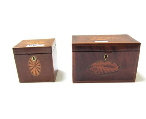 A George III small square mahogany tea caddy with fan inlay, 11cm wide, and another larger with shell marquetry panel, 19cm w