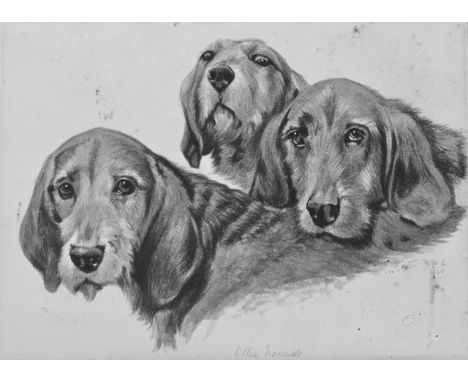 AN EARLY 20TH CENTURY WATERCOLOUR SKETCH of three otter hounds, initialled MML 1908, 19cm x 24cm