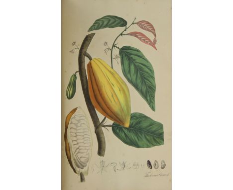 Plantae officinales (medicinales), oder Sammlung officineller PflanzenZwei Tafelbände mit insgesamt 444 handkolorierten Litho