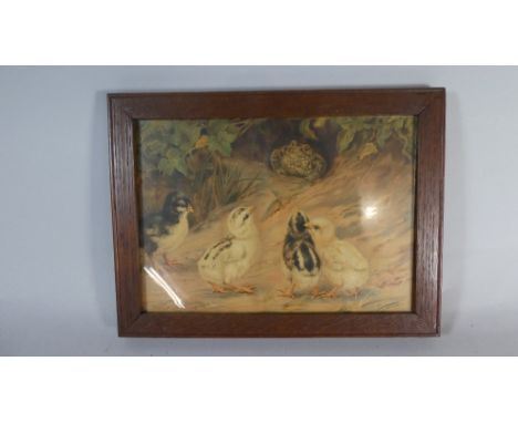 A Late Victorian Oak Framed Print Depicting Chicks and Toad, 25cm Wide