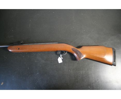 BSA MERCURY .22 Cal air rifle