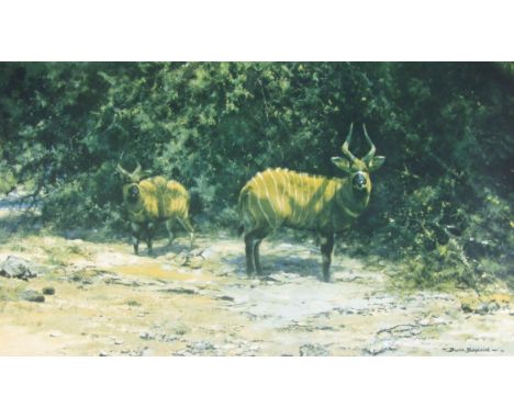 After David Shepherd. African Afternoon, artist signed limited edition print, no. 383/850, watermarked, 46cm x 67cm.