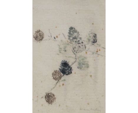 GRAHAM MURRAY (SCOTTISH 1907-1987) &nbsp;BRANCH WITH PINECONES &nbsp;Watercolour, signed lower right, 27.5 x 17cm &nbsp;Toget