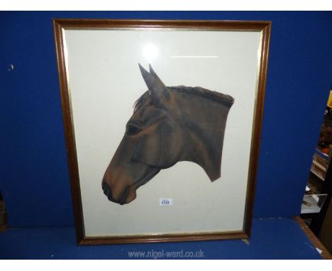 A framed and glazed Portrait of a horse made up of various shapes of Painted Paper, unsigned, 21 1/2" x 25 1/4".