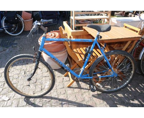 Raleigh 10 Speed Mountain cycle 