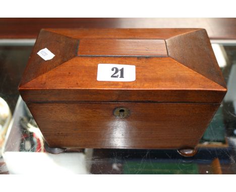 Georgian Mahogany Sarcophagus Tea Caddy on bun feet 